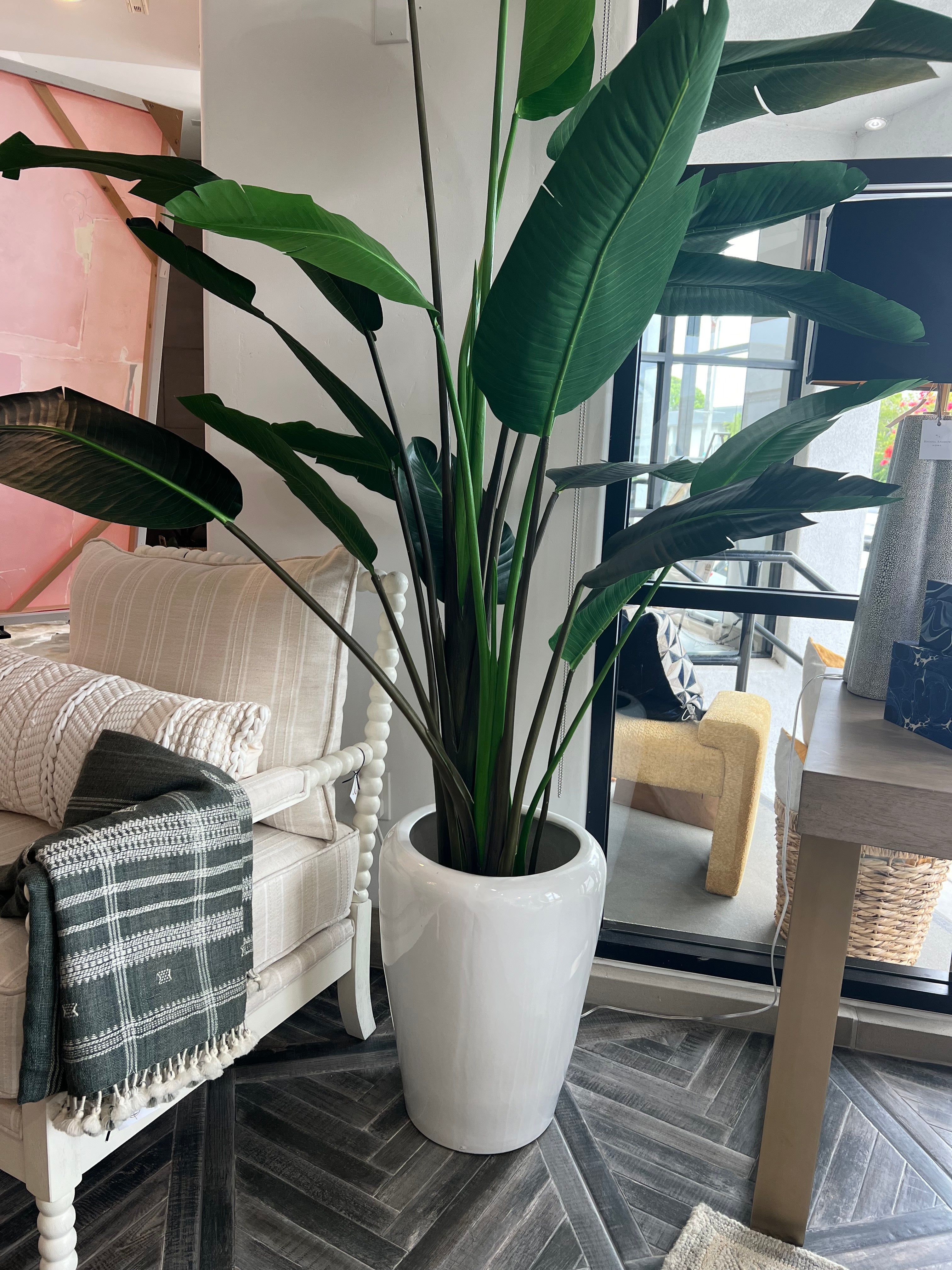 8ft Bird of Paradise Greenery w/ Pot