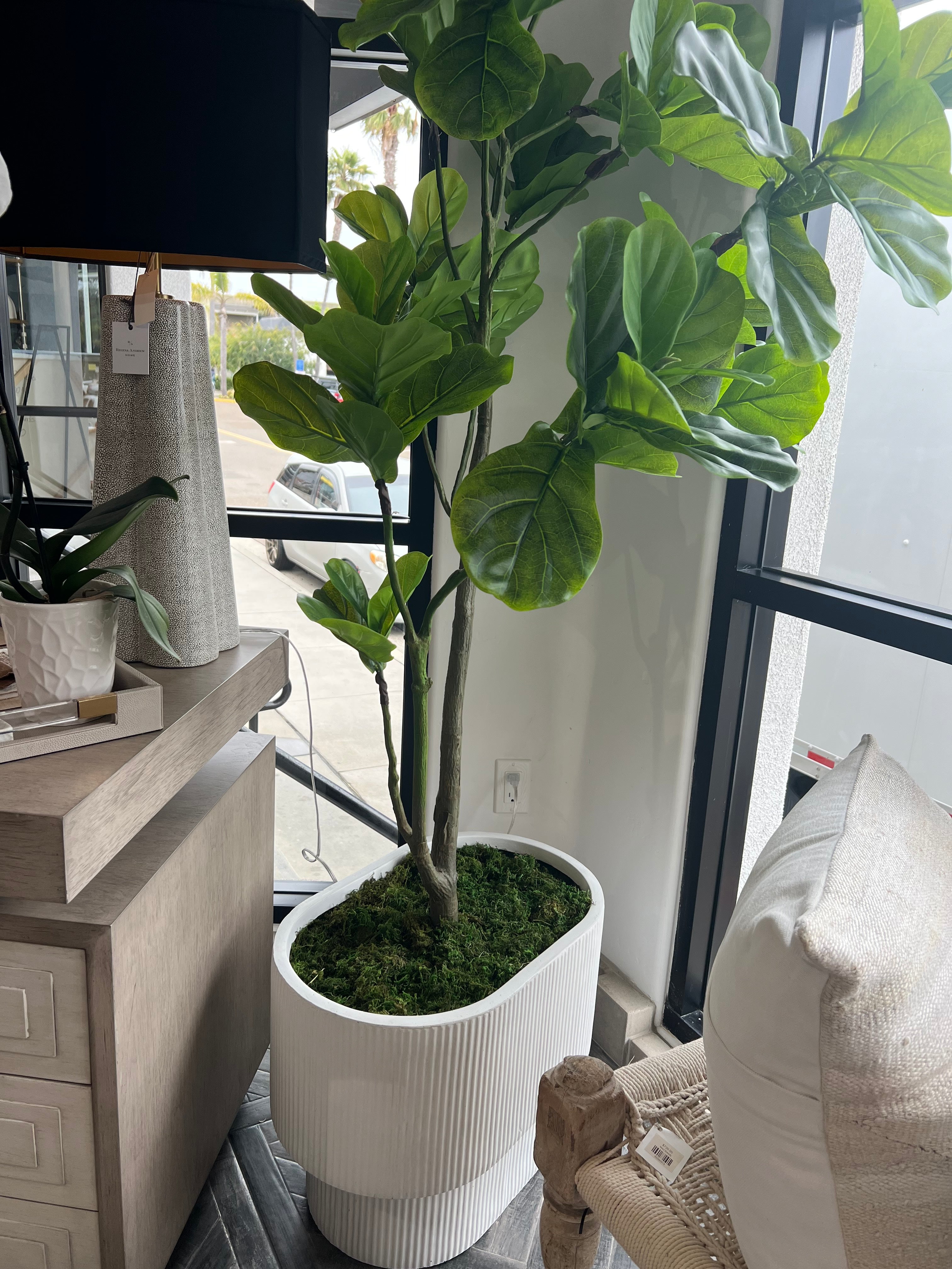 Fiddle Fig Greenery & Pot